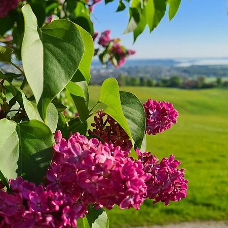 Schleipfnerhof Urlaub Auf Dem Bauernhof Villa Bernau am Chiemsee Kültér fotó